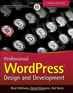 professional-wordpress-design-and-development1-235x300